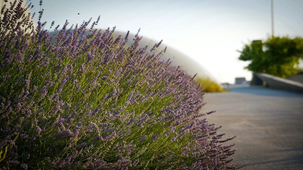 Bâtir sa demeure : comment éviter les défauts de construction et assurer sa qualité