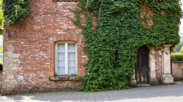 Les coûts cachés du manque de nettoyage de façade en Seine-et-Marne