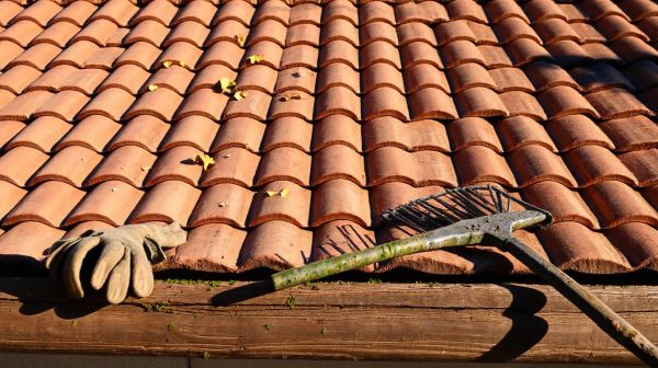 Top raisons d'effectuer un démoussage de toiture