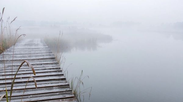 Top solutions pour combattre l'humidité dans l'Orne